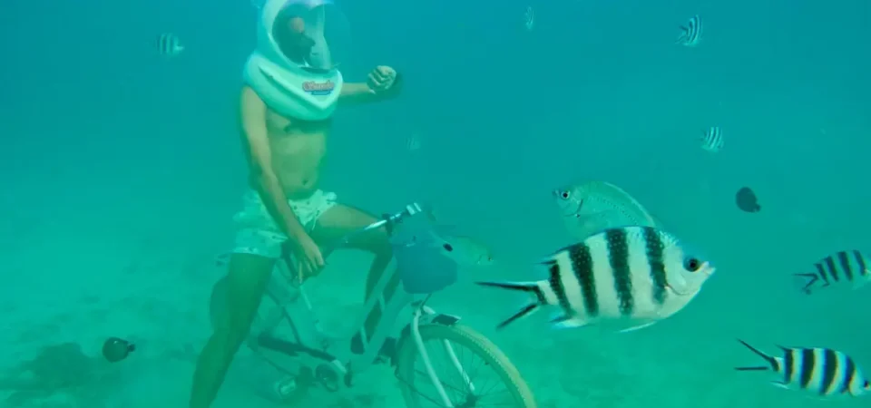 Zanzibar snorkeling trips