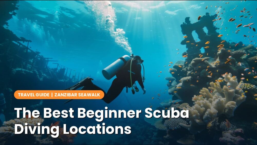 The Best Beginner Scuba Diving Locations (And How to Pick the Right One)