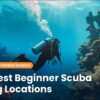 The Best Beginner Scuba Diving Locations (And How to Pick the Right One)