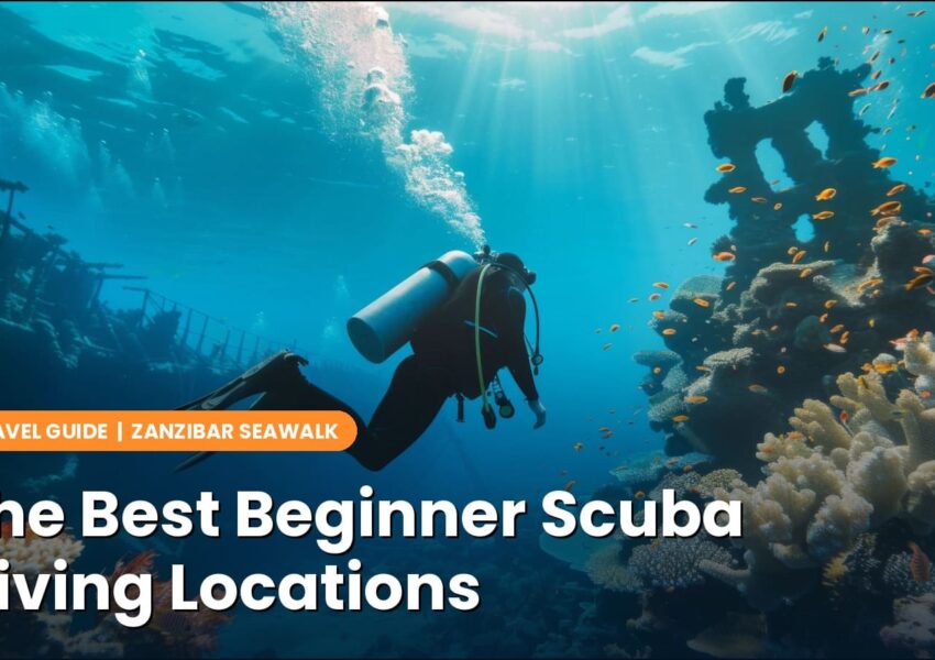 The Best Beginner Scuba Diving Locations (And How to Pick the Right One)