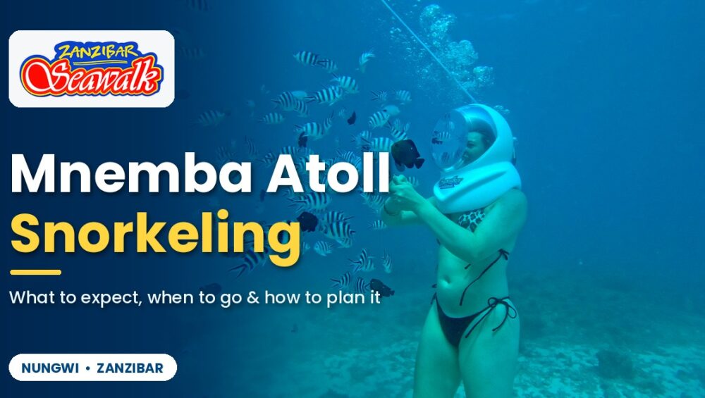 Mnemba Atoll Snorkeling