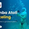Mnemba Atoll Snorkeling