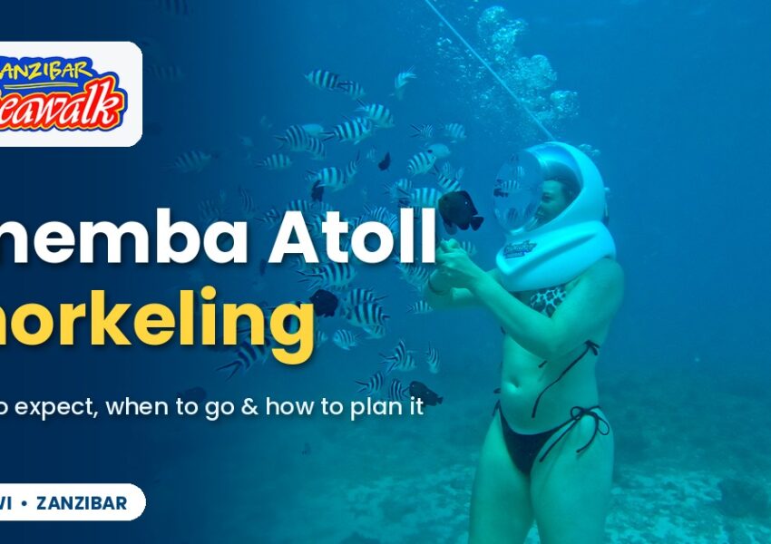 Mnemba Atoll Snorkeling